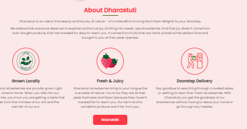 SynergyTop Inc agency's portfolio